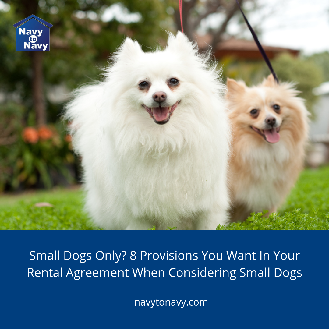 Small Dogs Only? 8 Provisions You Want In Your Rental Agreement When